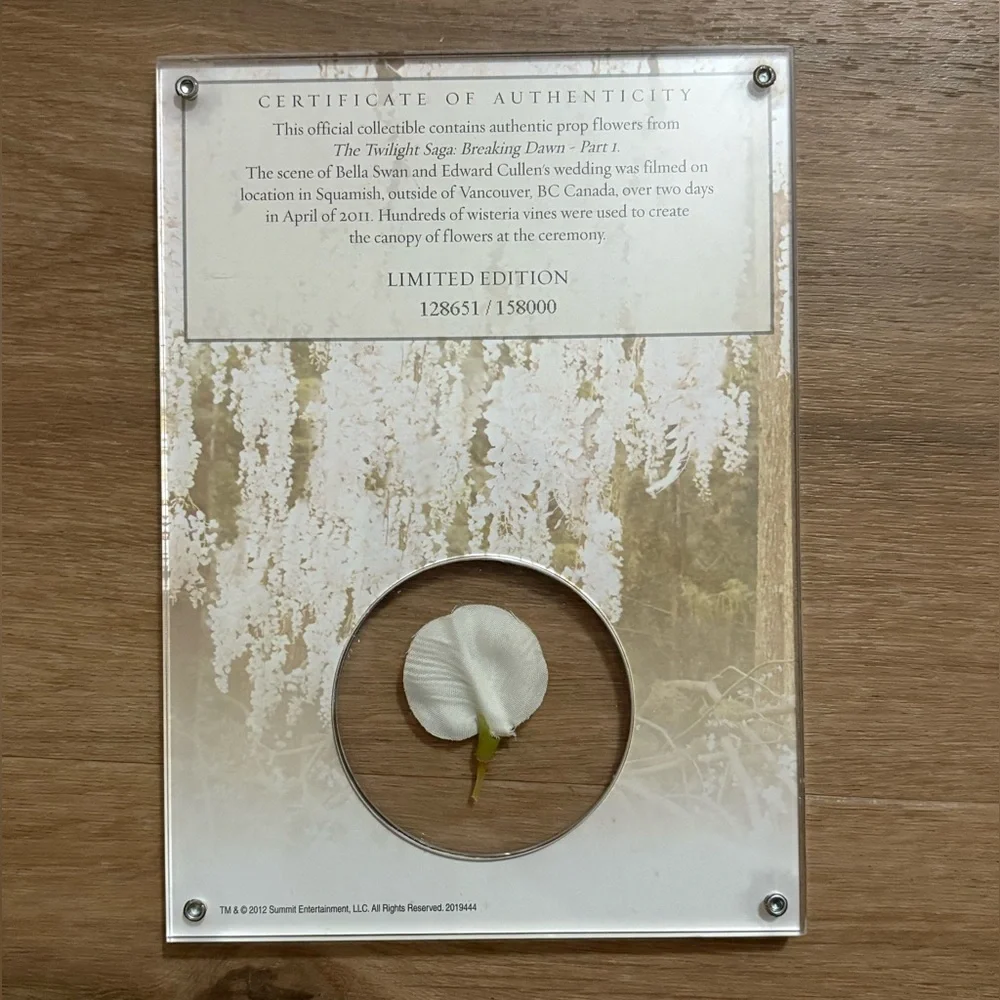 Twilight Saga Breaking Dawn part 1 DVD set with collectible prop flower Like New - Picture 5 of 7